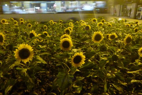 Places Hiring 16 Year Olds