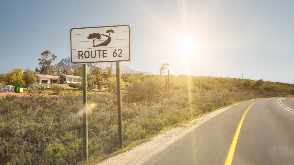 Everything you need to know about driving in South Africa
