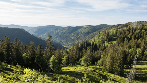The Most Beautiful Villages in the Black Forest