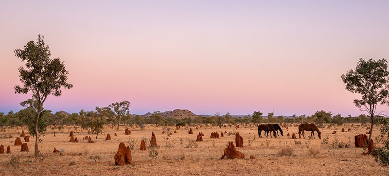 Ενοικίαση αυτοκινήτων σε Μάουντ Άιζα 