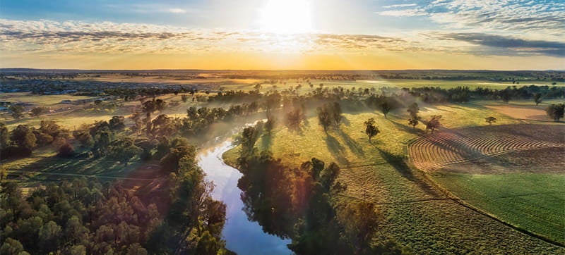 Ενοικίαση αυτοκινήτων σε Ντάμπο 