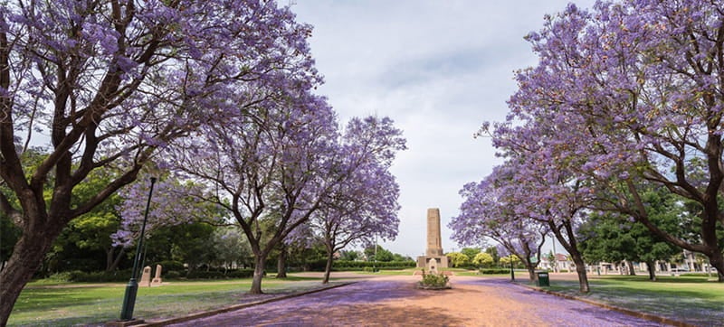 Ενοικίαση αυτοκινήτων σε Γκράφτον
