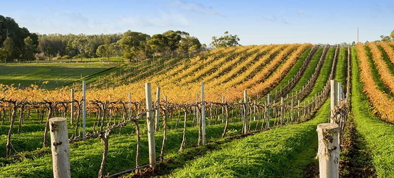 Ενοικίαση αυτοκινήτων σε Μάντζι