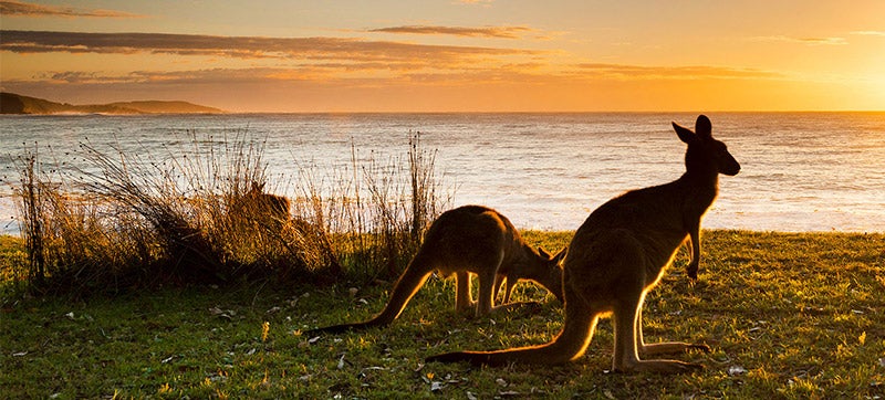 Ενοικίαση αυτοκινήτων σε Χρυσή Ακτή