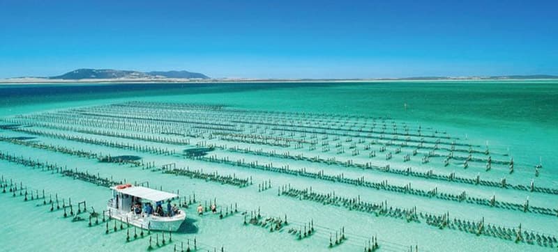 Ενοικίαση αυτοκινήτων σε Πορτ Λίνκολν