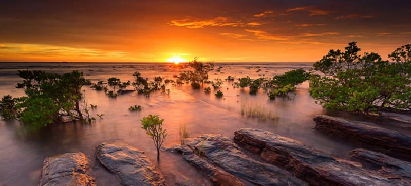 Ενοικίαση αυτοκινήτων σε Ντάργουιν