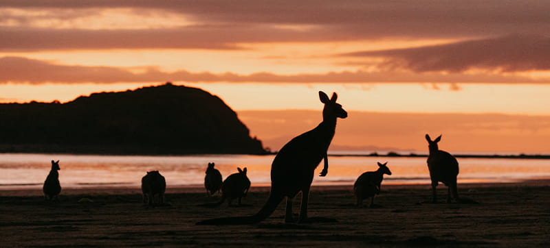 Ενοικίαση αυτοκινήτων σε Μακάι