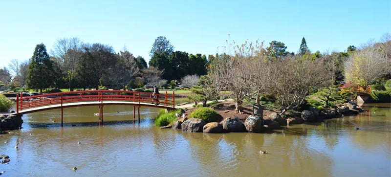 Ενοικίαση αυτοκινήτων σε Τουούμπα Γουέλκαμπ