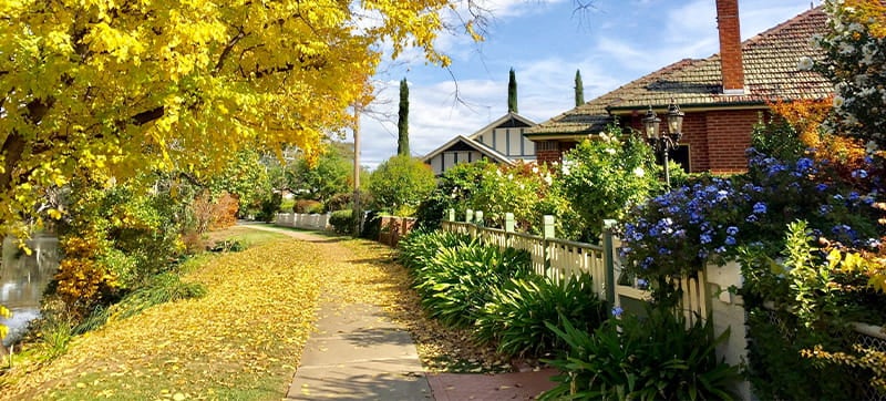 Ενοικίαση αυτοκινήτων σε Ουάγκα Ουάγκα 