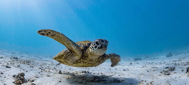 Ενοικίαση αυτοκινήτων σε Έξμαουθ