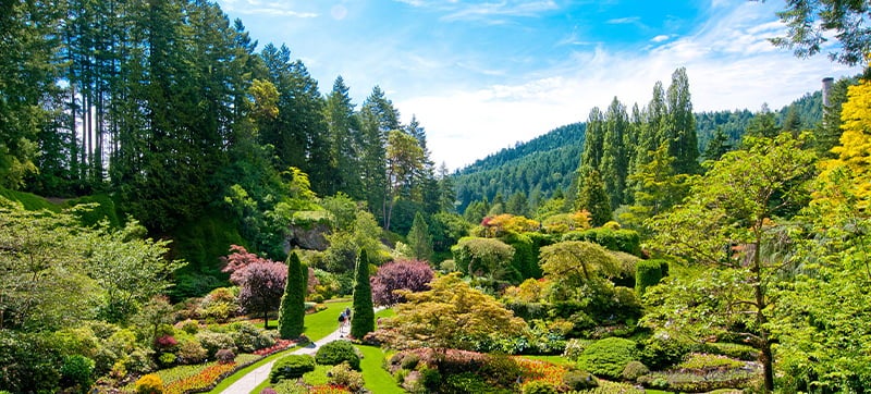 Ενοικίαση αυτοκινήτων σε Βικτόρια