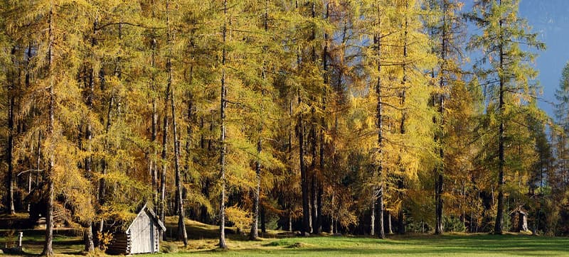 Φτηνές Ενοικίαση αυτοκινήτων σε Φέρεν Αεροδρόμιο