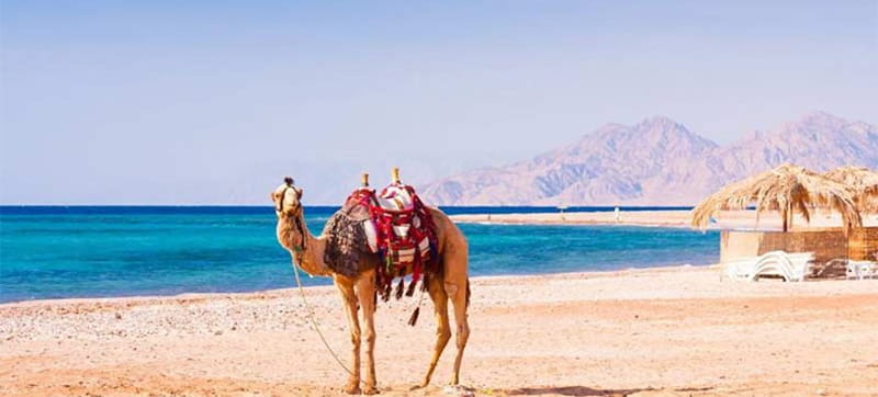 Ενοικίαση αυτοκινήτων σε Μάρσα Αλάμ