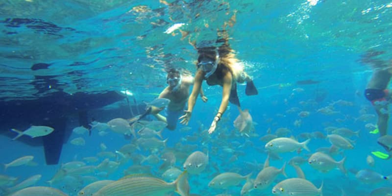 Ενοικίαση αυτοκινήτων σε Φουερτεβεντούρα