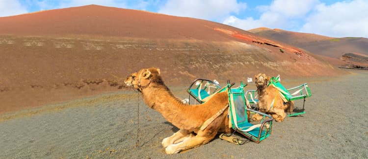 Φτηνές Ενοικίαση αυτοκινήτων σε Λανθαρότε Αεροδρόμιο