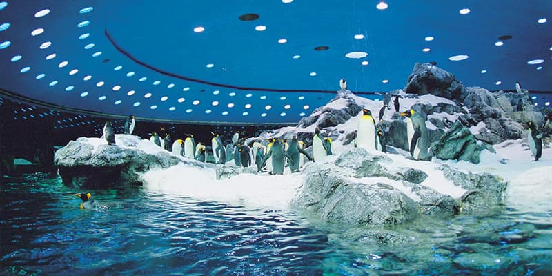 Ενοικίαση αυτοκινήτων σε Τενερίφη Νότια