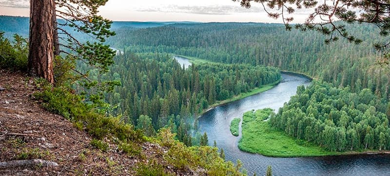 Φτηνές Ενοικίαση αυτοκινήτων σε Κούουσαμο Αεροδρόμιο