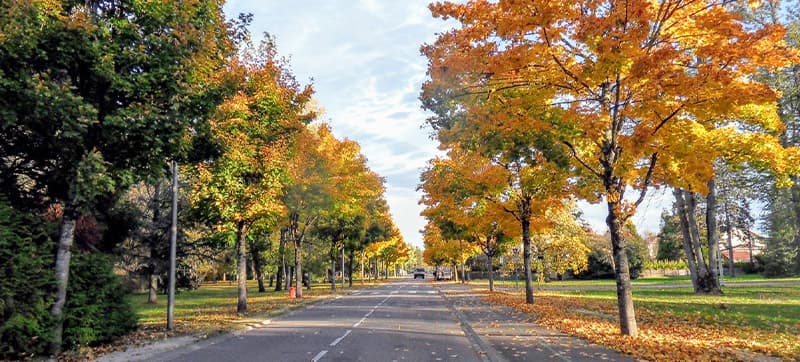 Ενοικίαση αυτοκινήτων σε Ταβώ