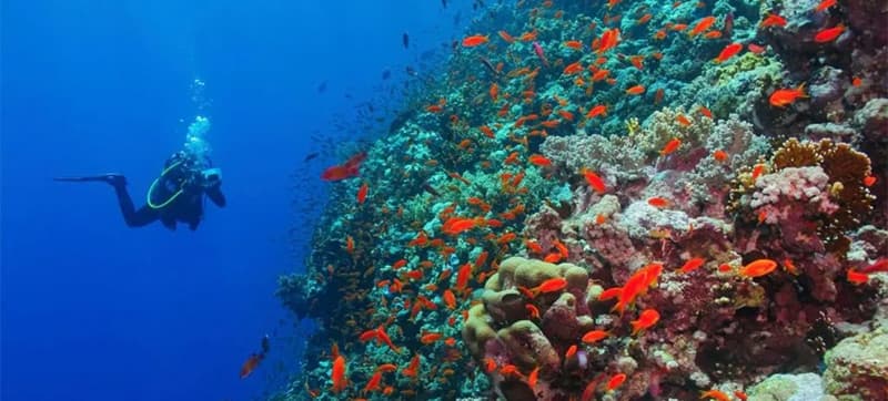 Ενοικίαση αυτοκινήτων σε Εϊλάτ