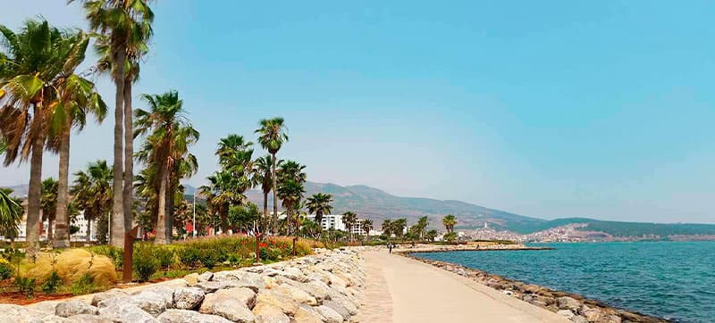 Φτηνές Ενοικίαση αυτοκινήτων σε Ναντόρ Αεροδρόμιο