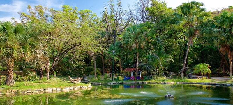 Ενοικίαση αυτοκινήτων σε Tuxtla Gutierrez