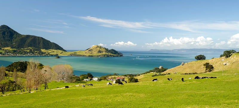 Φτηνές Ενοικίαση αυτοκινήτων σε Γουάνκγαρεϊ Αεροδρόμιο