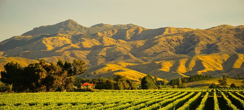 Φτηνές Ενοικίαση αυτοκινήτων σε Μπλενχάιμ Αεροδρόμιο
