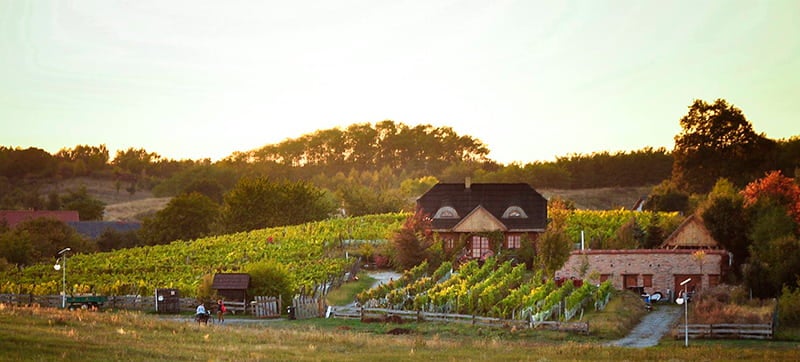 Φτηνές Ενοικίαση αυτοκινήτων σε Ζιελόνα Γκούρα Αεροδρόμιο