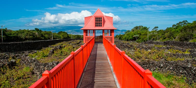 Ενοικίαση αυτοκινήτων σε Πίκο