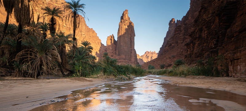 Φτηνές Ενοικίαση αυτοκινήτων σε Tabuk Αεροδρόμιο