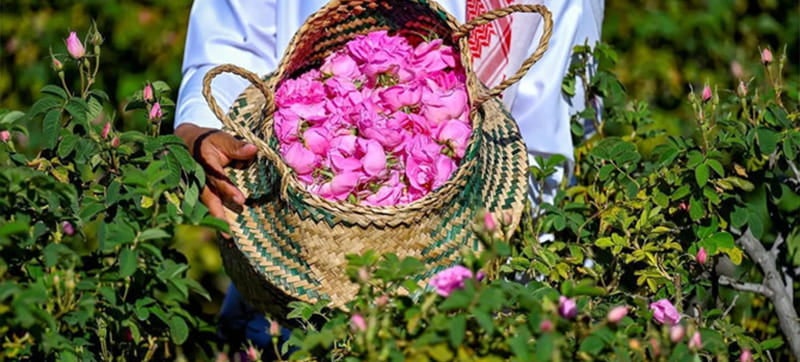 Ενοικίαση αυτοκινήτων σε Taif