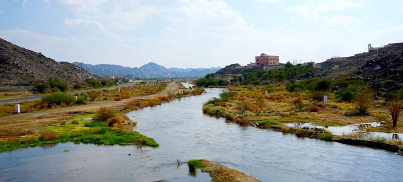 Tani Wypozyczalnia Samochodów w Bisha Lotnisko