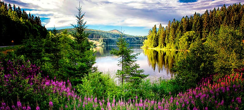 Ενοικίαση αυτοκινήτων σε Κράμφορς