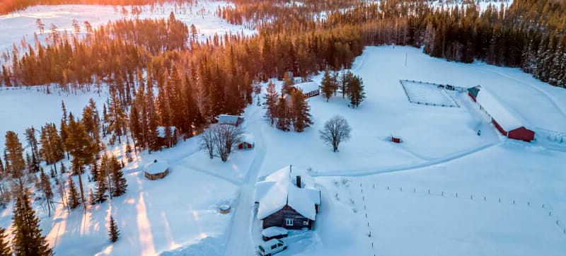 Ενοικίαση αυτοκινήτων σε Άρβιντζαουρ