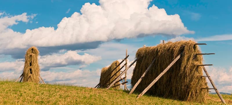 Ενοικίαση αυτοκινήτων σε Σβέγκ