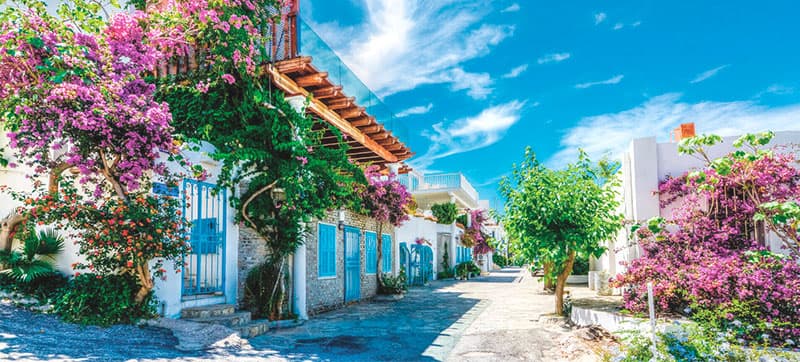 Ενοικίαση αυτοκινήτων σε Μπόντρουμ