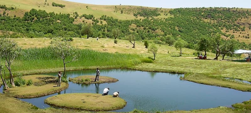 Ενοικίαση αυτοκινήτων σε Μπινγκιόλ