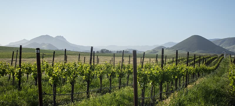 Ενοικίαση αυτοκινήτων σε Σαν Λούις Ομπίσπο