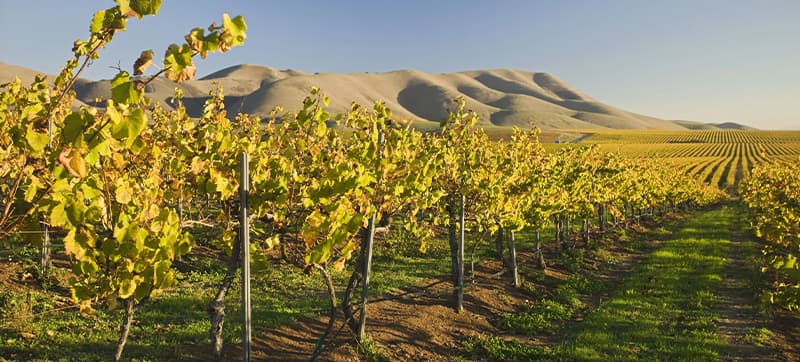 Ενοικίαση αυτοκινήτων σε Σάντα Μαρία