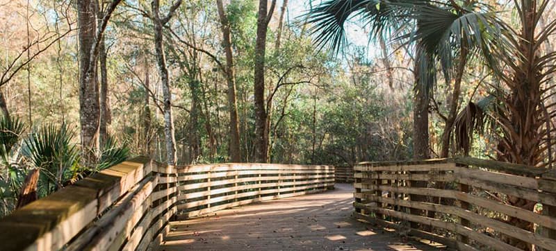 Ενοικίαση αυτοκινήτων σε Γκέινσβιλ