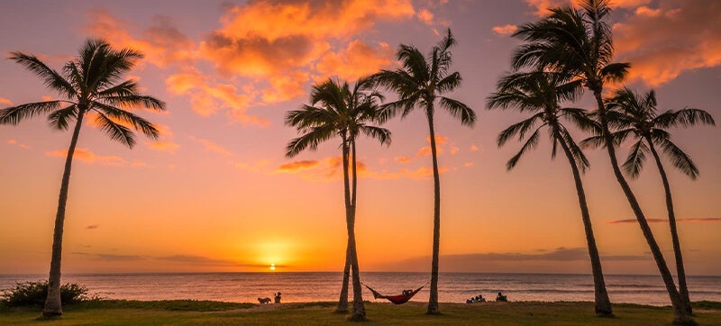 Ενοικίαση αυτοκινήτων σε Χονολουλού