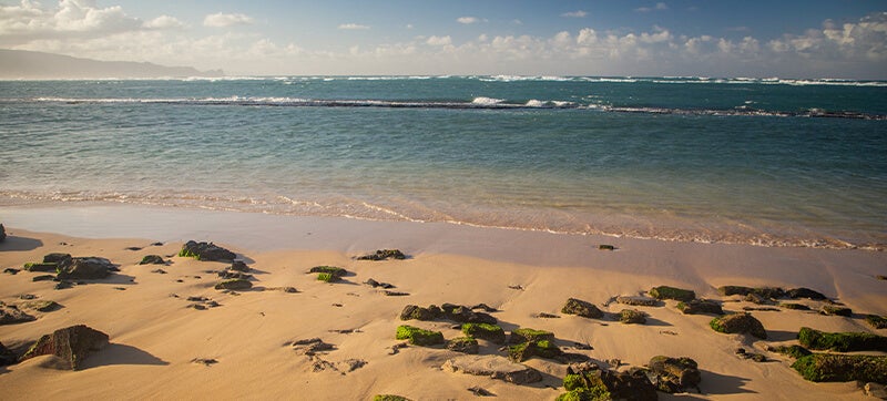 Ενοικίαση αυτοκινήτων σε Καχουλούι