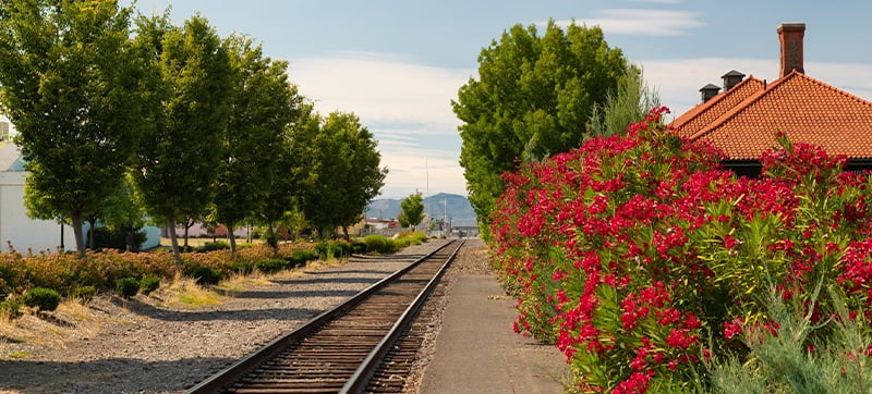 Ενοικίαση αυτοκινήτων σε Μέντφορντ