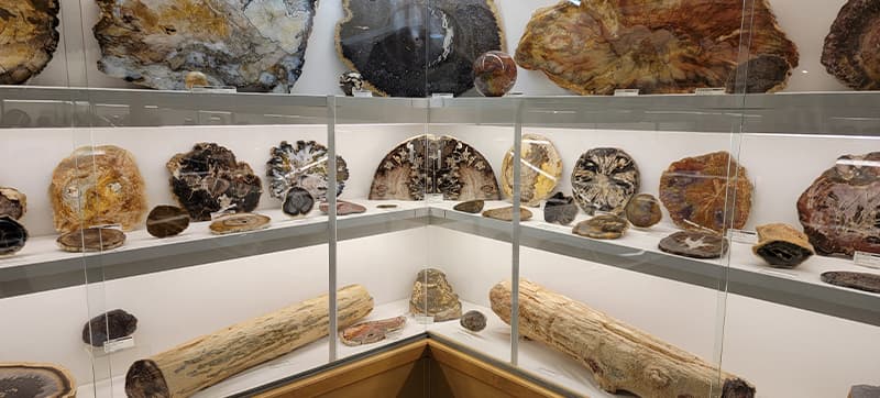 Ενοικίαση αυτοκινήτων σε Χίλσμπορο