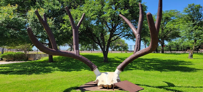 Ενοικίαση αυτοκινήτων σε Άμπιλιν