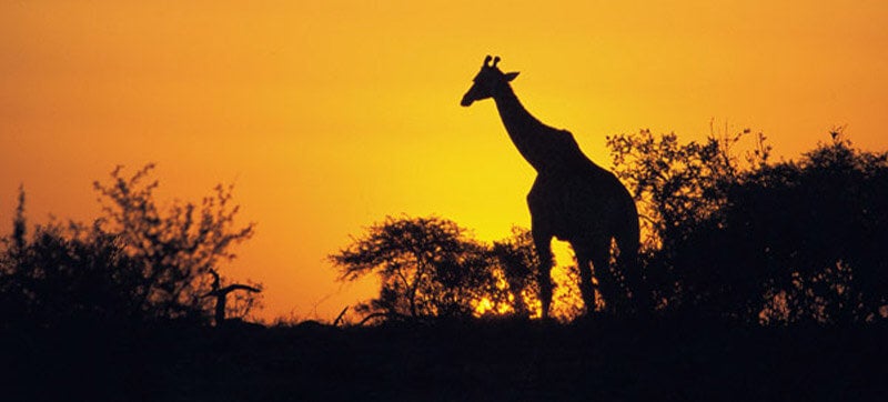 Ενοικίαση αυτοκινήτων σε Χόεντσπρουτ