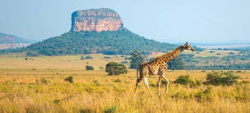 Φτηνές Ενοικίαση αυτοκινήτων σε Πολοκουάνε Αεροδρόμιο