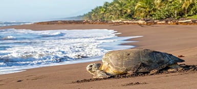 Costa Rica Destinations