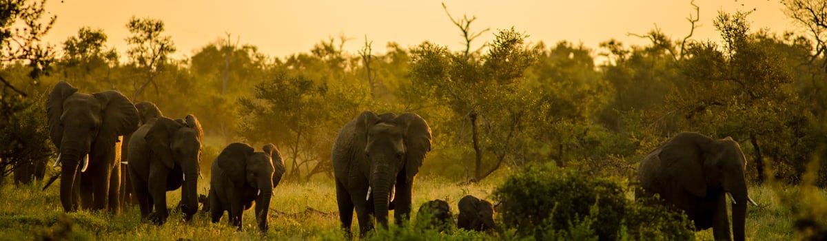 Τα πιο δημοφιλή αεροδρόμια